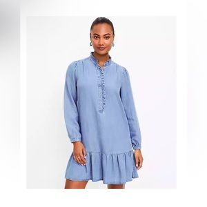 Chambray Ruffle Dress